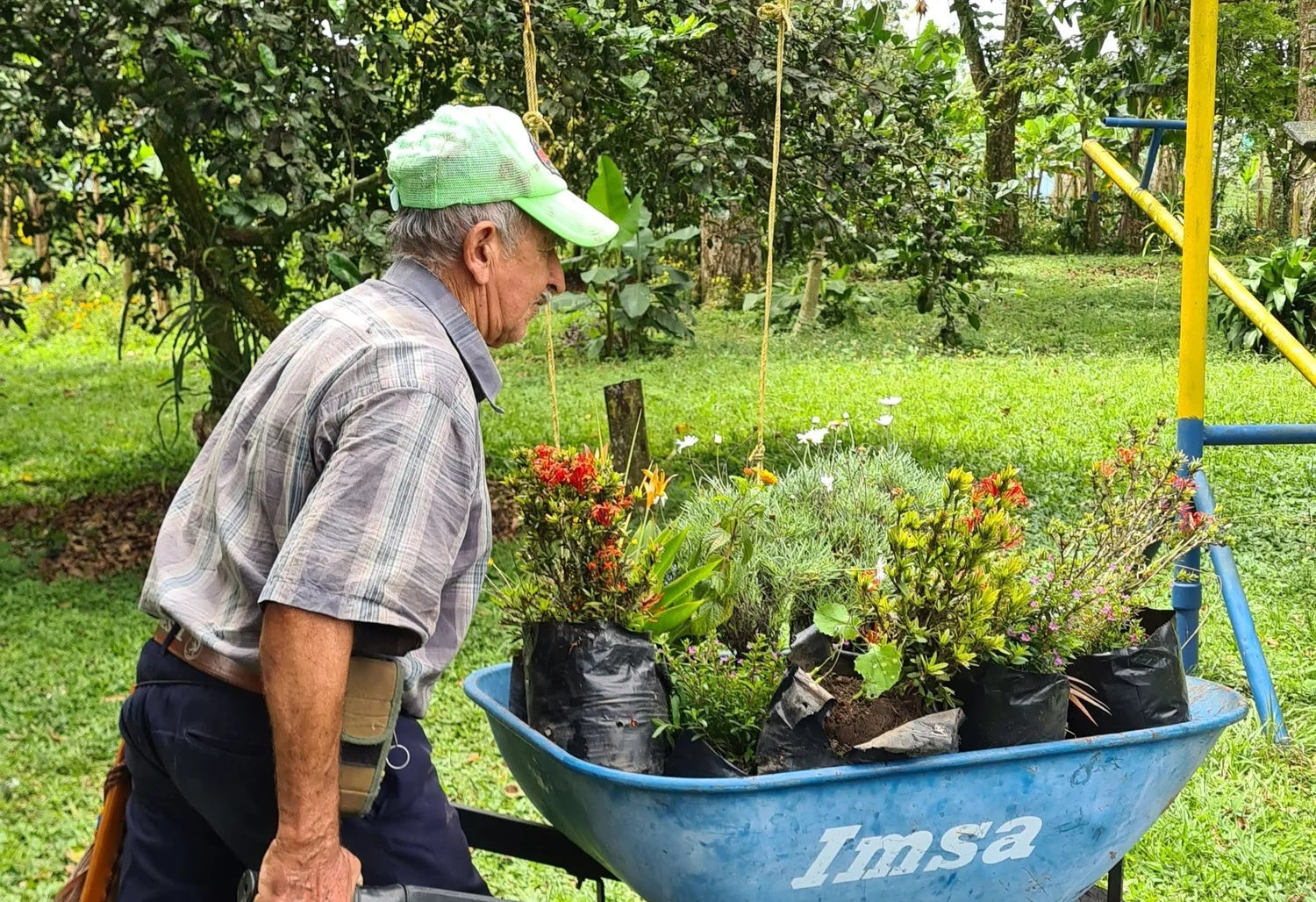 Photo of Colombia Roble Negro Wush Wush Honey