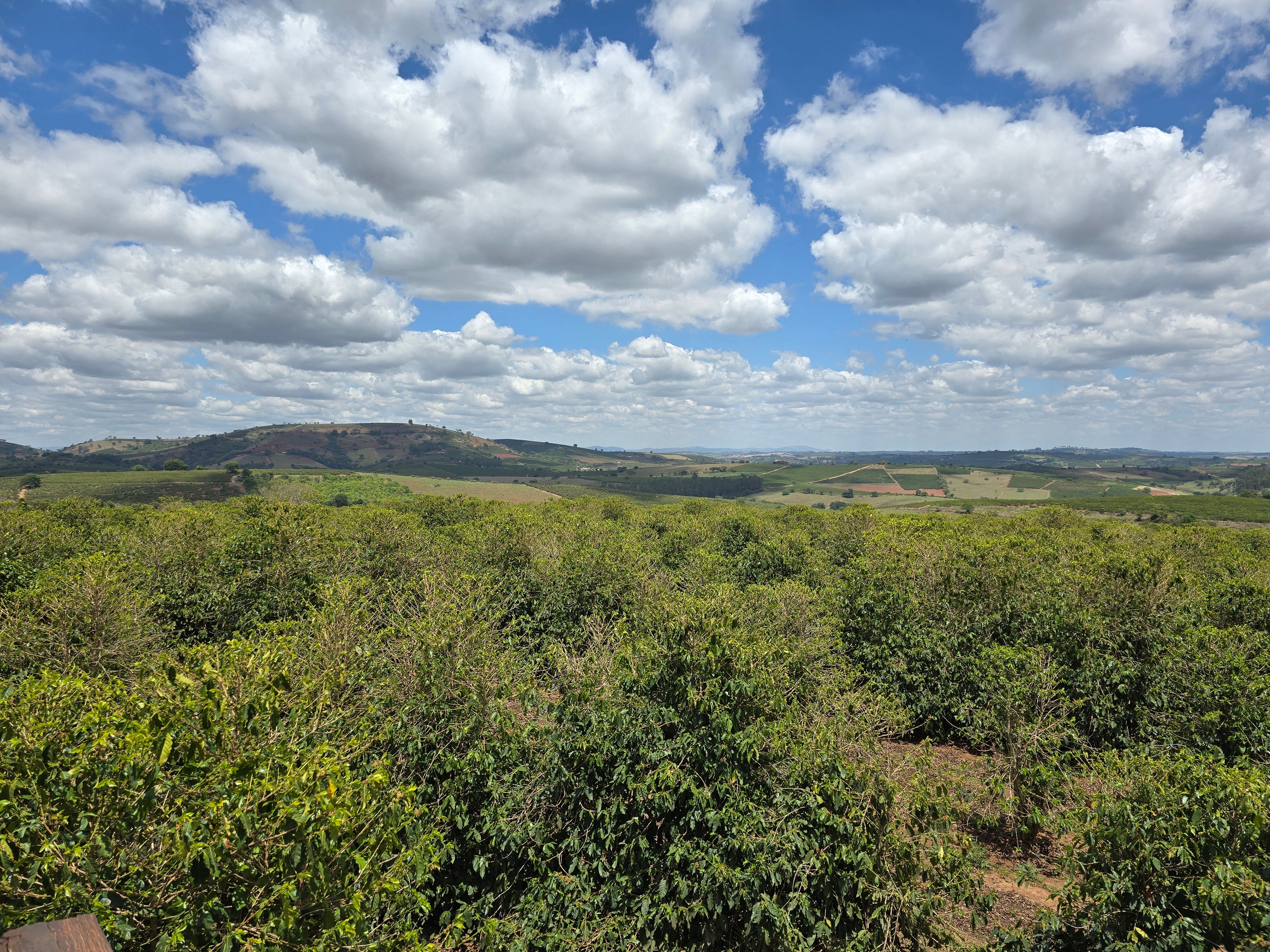 Photo of Brazil Isabela Lima Natural