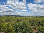 Brazil Isabela Lima Natural