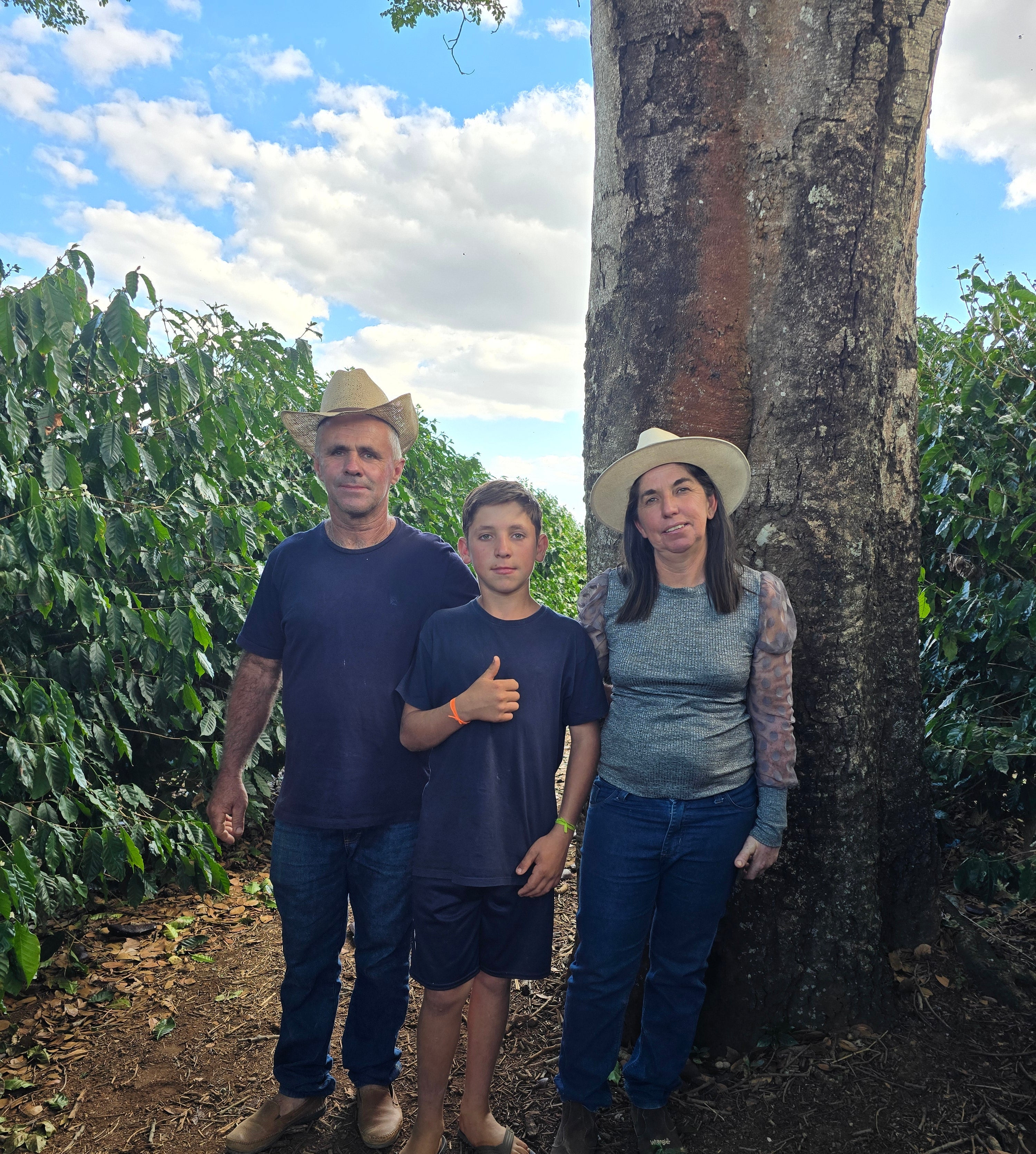 Photo of Brazil Donizetti Family GREEN