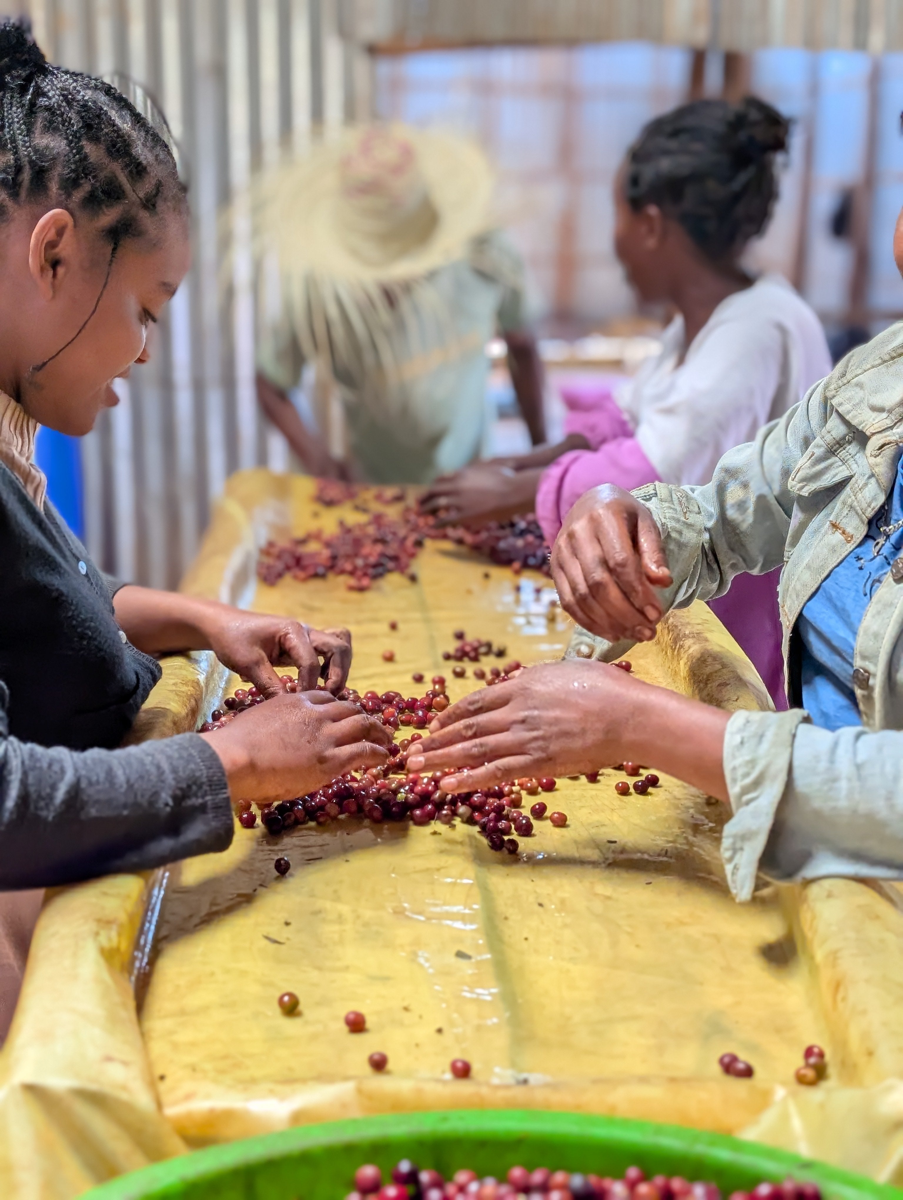 Photo of ETHIOPIA BETTE BUNA CHERRY JAM