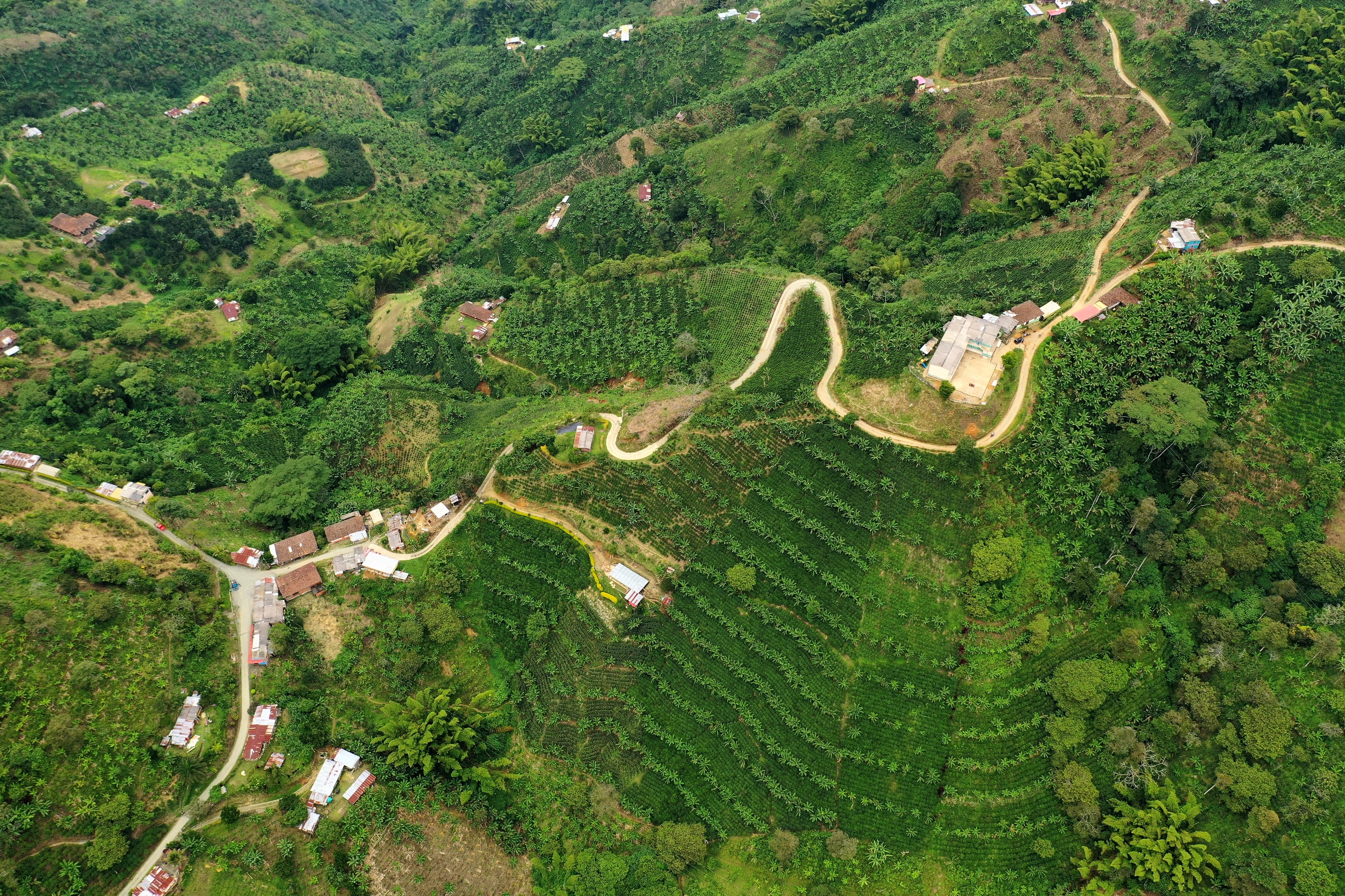 Photo of Colombia Chapata Natural