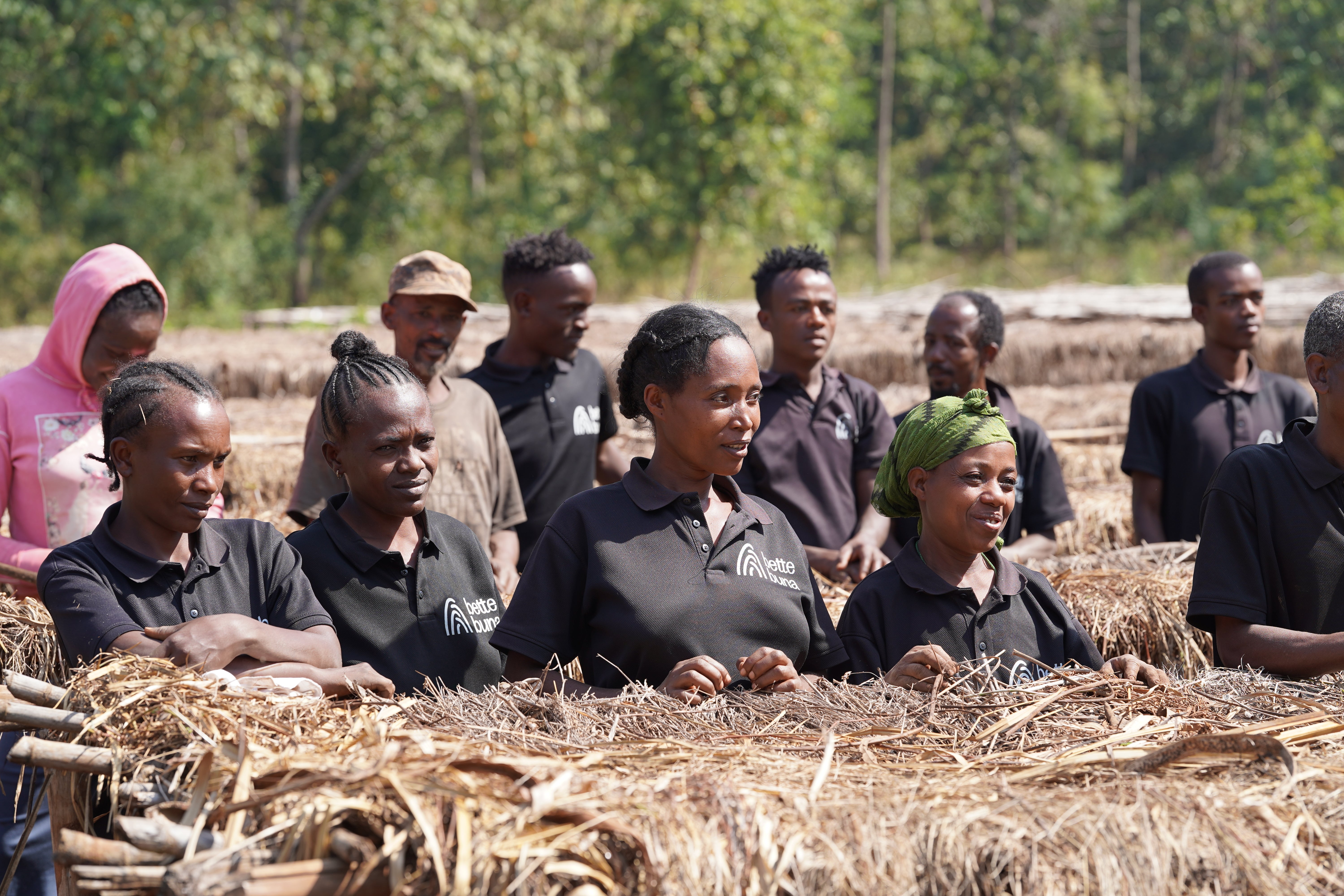 Photo of Ethiopia Meseret Kickstart Natural
