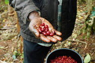 'Misfits' Uganda Drugar Natural