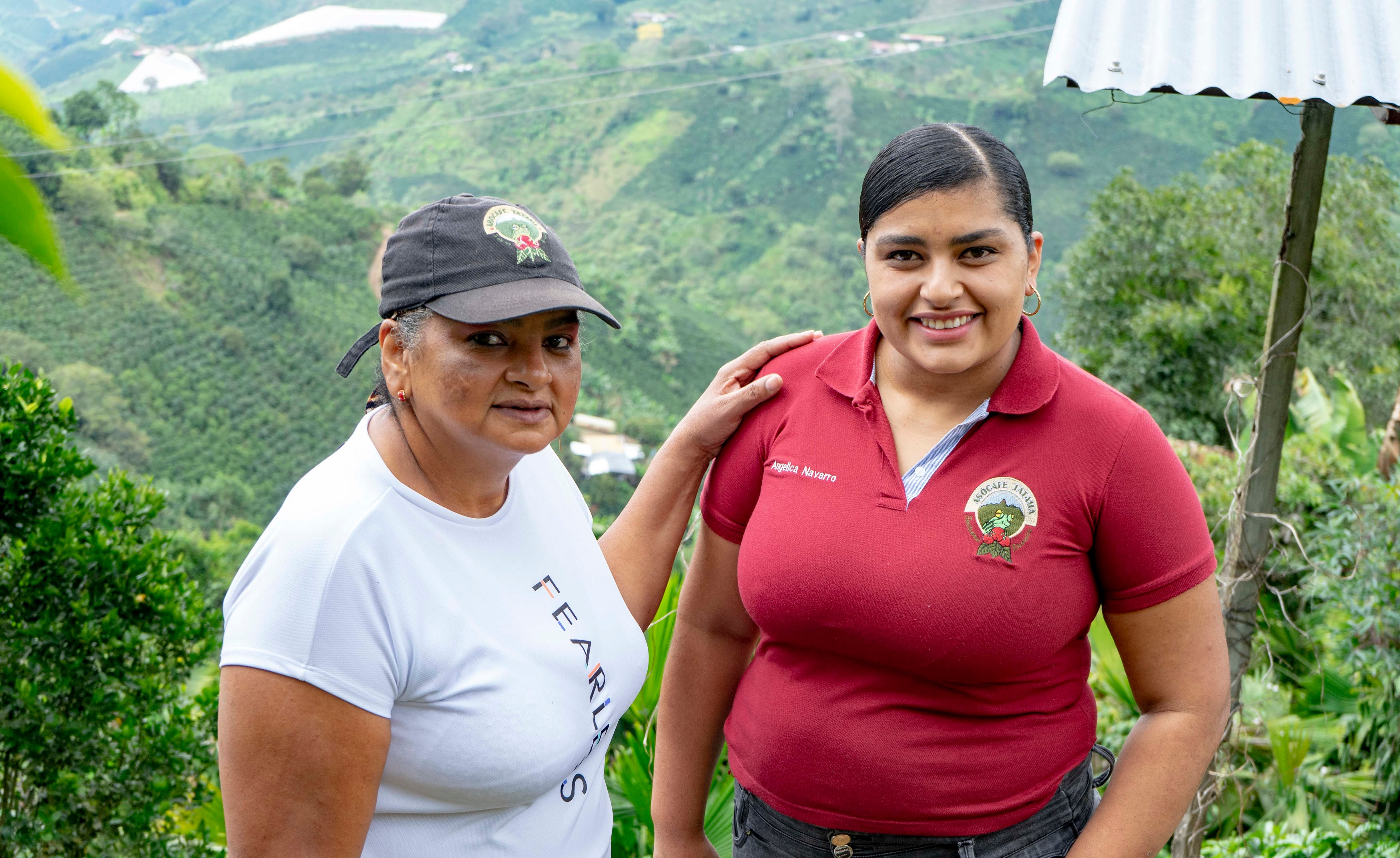 Photo of Colombia IMH Risaralda Decaf GREEN