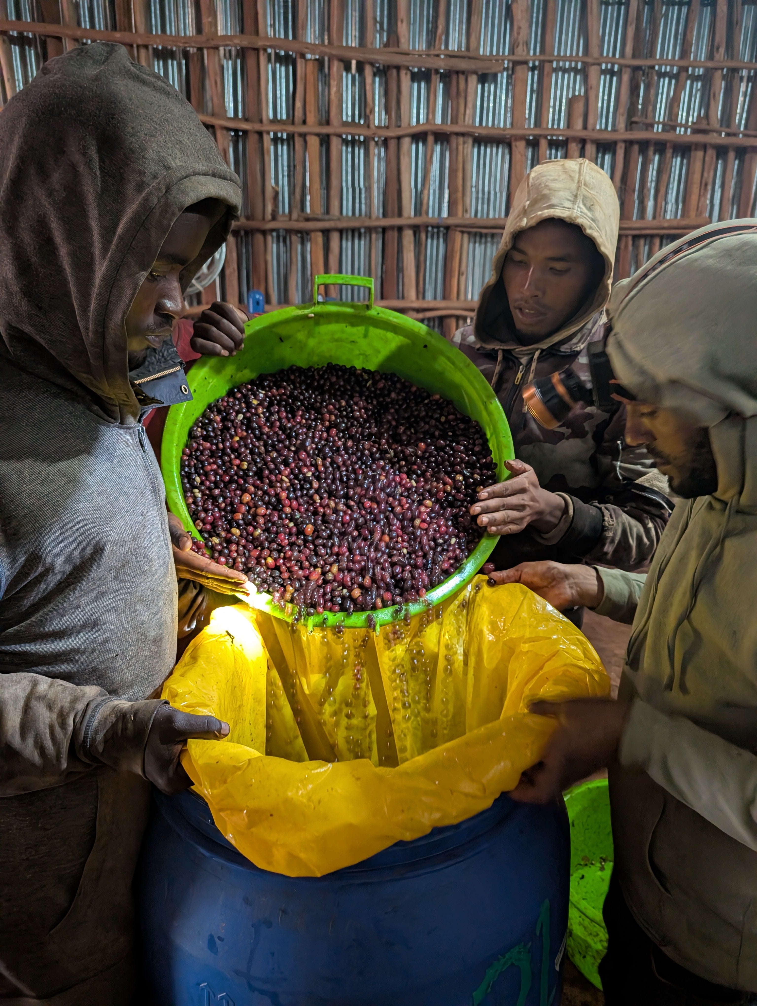 Photo of ETHIOPIA BETTE BUNA CHERRY KISS