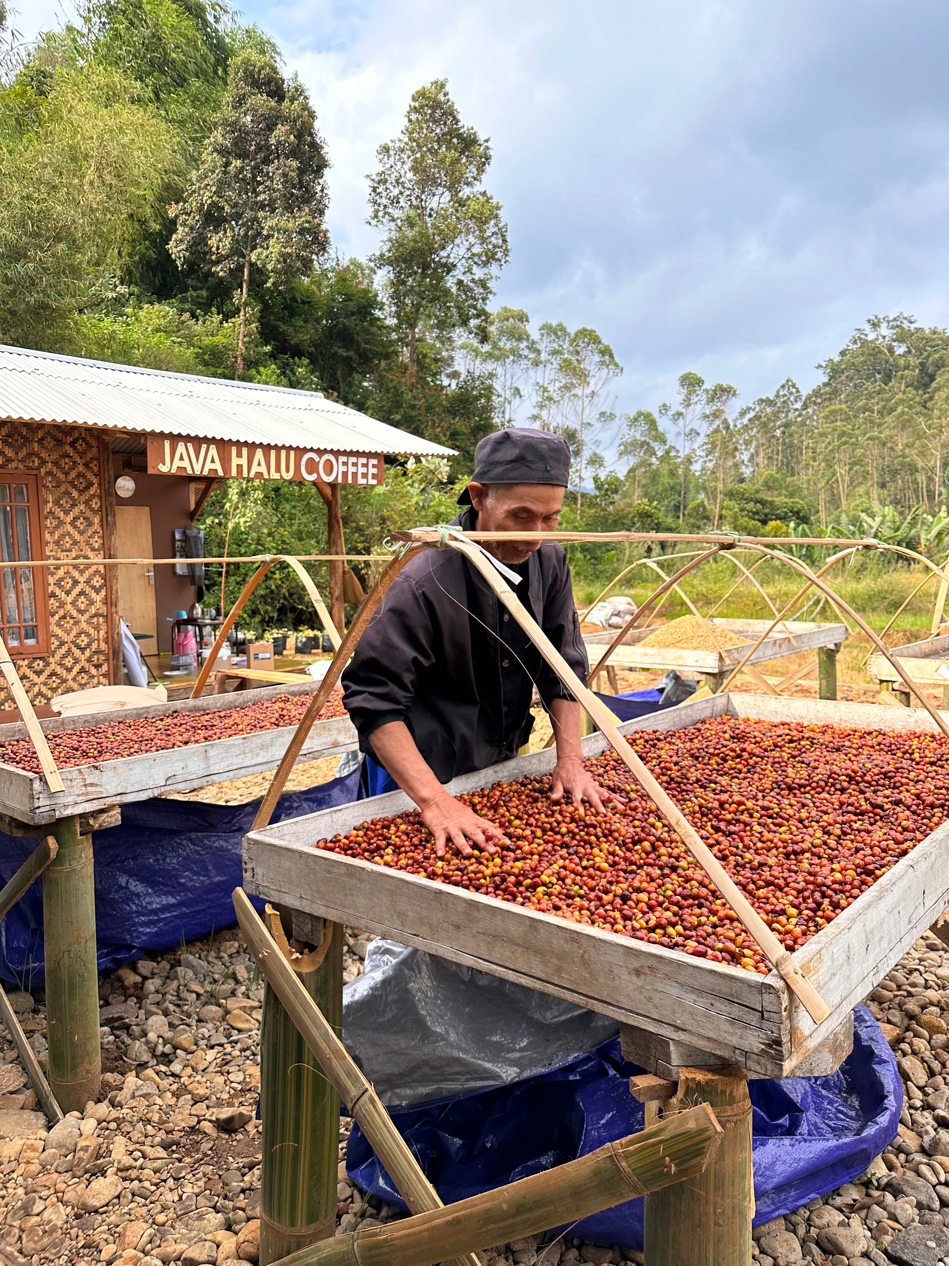 Photo of Indonesia Java Halu Natural