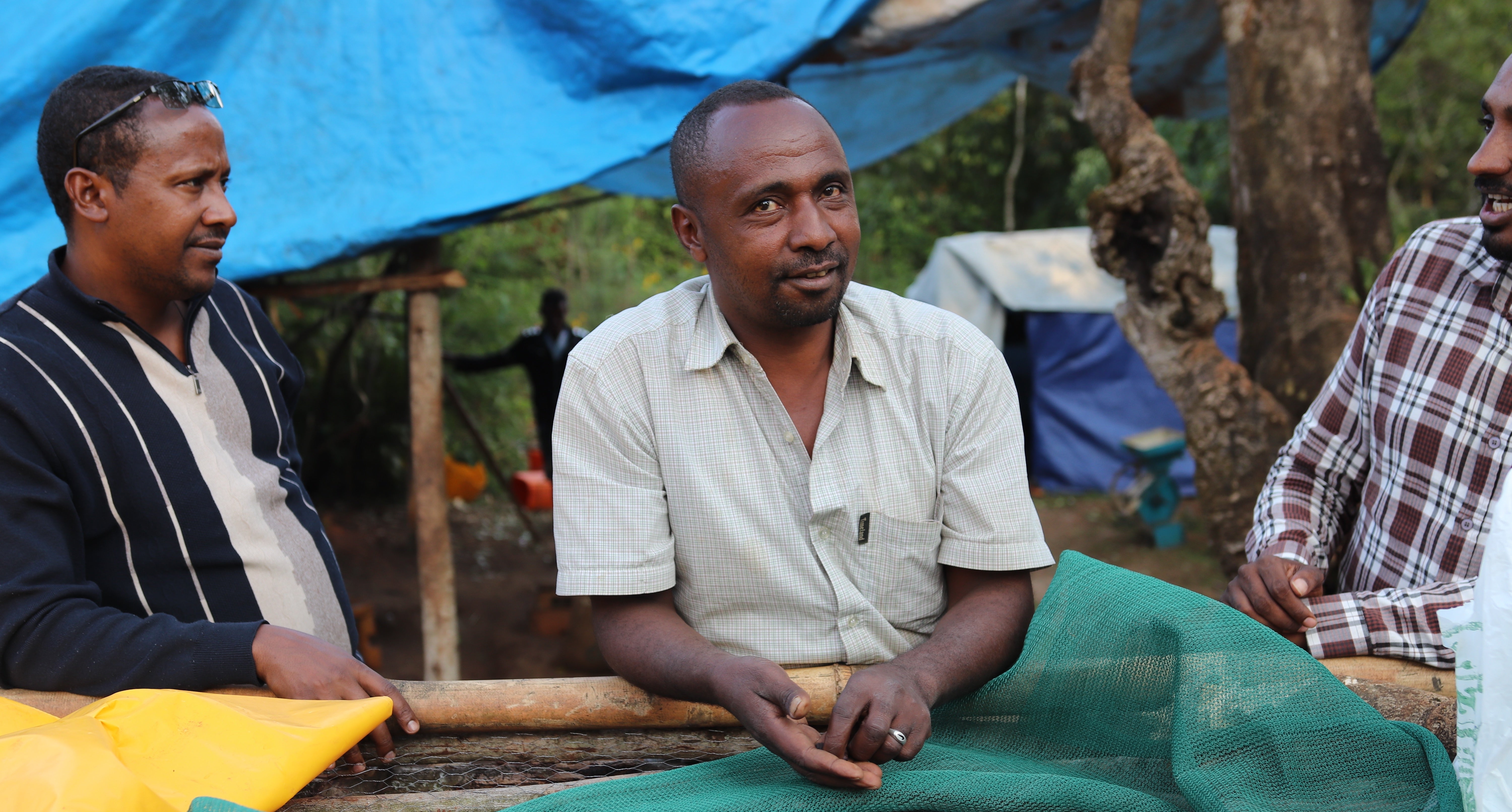 Photo of ETHIOPIA MUSTEFA ABAKENO WASHED
