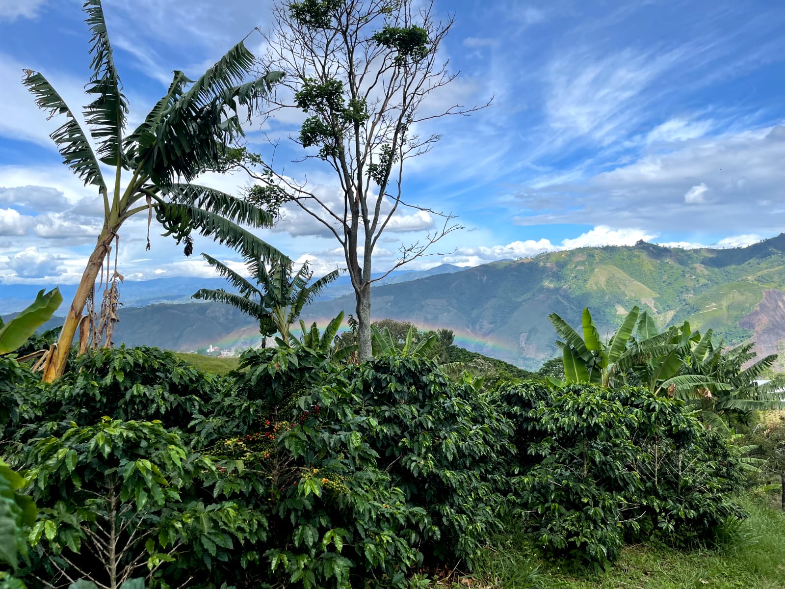 Photo of Colombia Edinson Argote Laurina