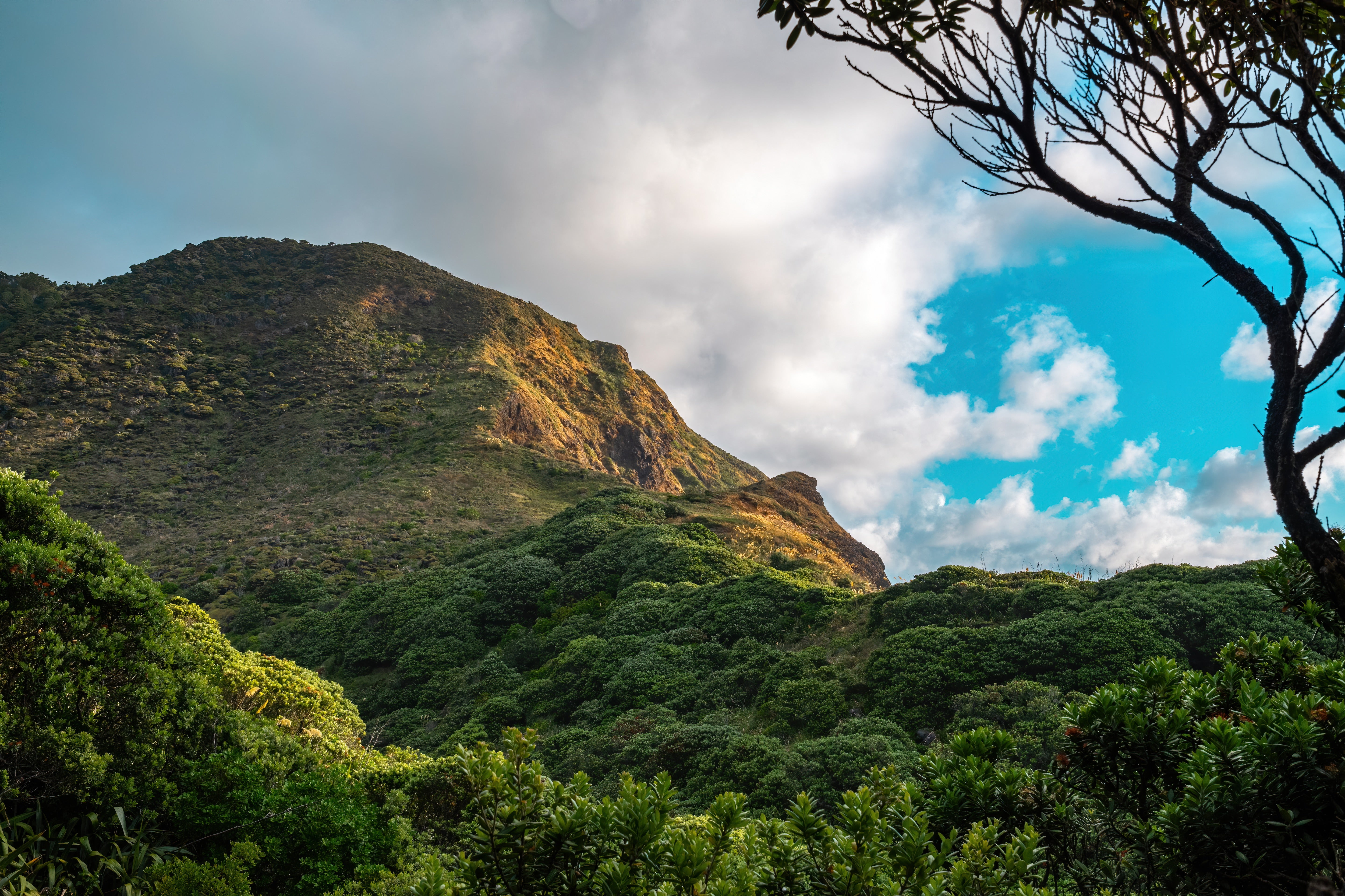 Photo of Uganda Mount Elgon Washed