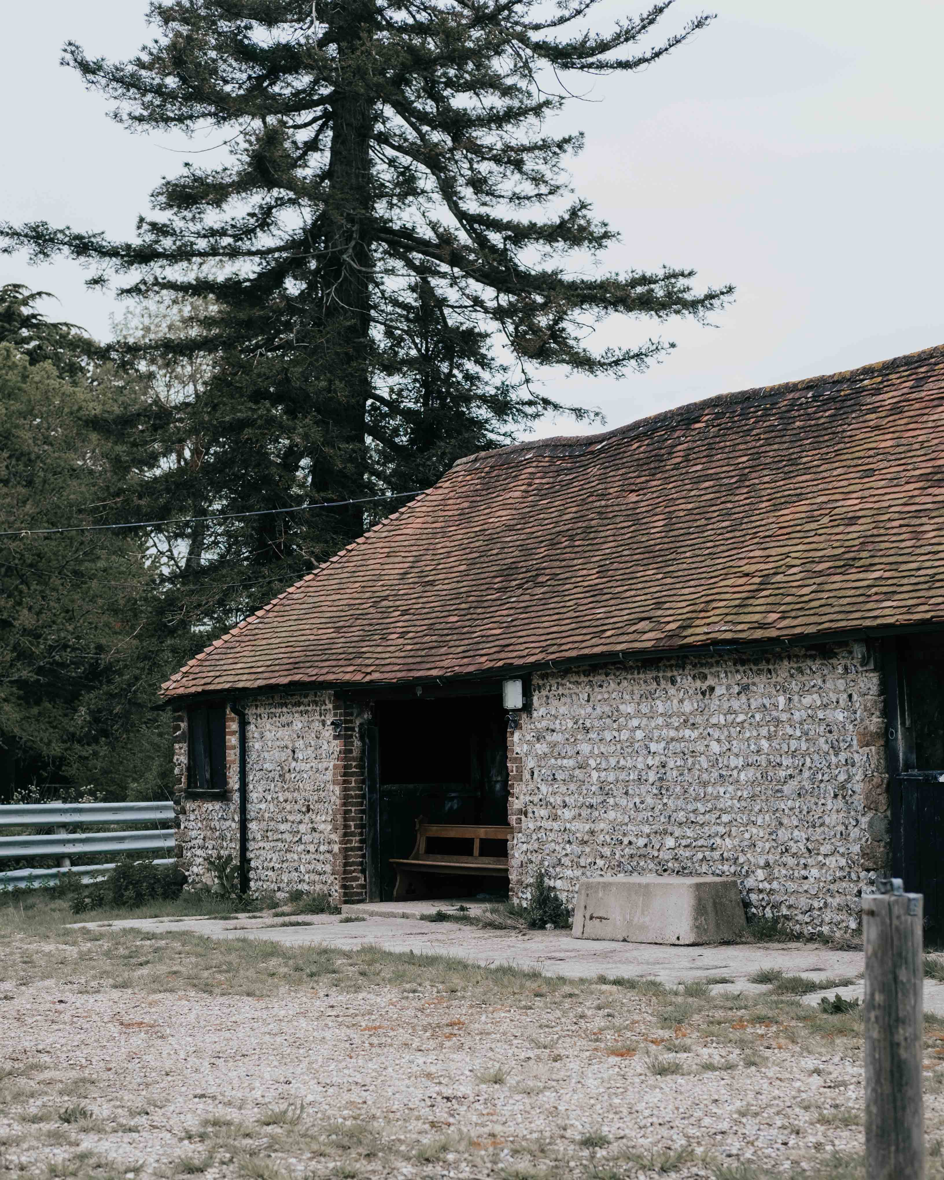 Photo of Stable Blend